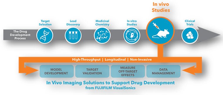 Drug Research & Development Overview: Understanding In-vivo And In-vitro Approach In Bioequivalence Testing