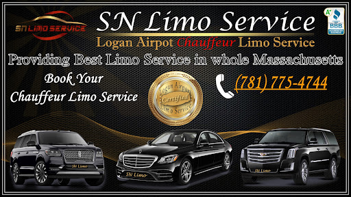 Top Reasons Why You Should Hire a Limo Service for Your Airport Transfer 2 image 10
