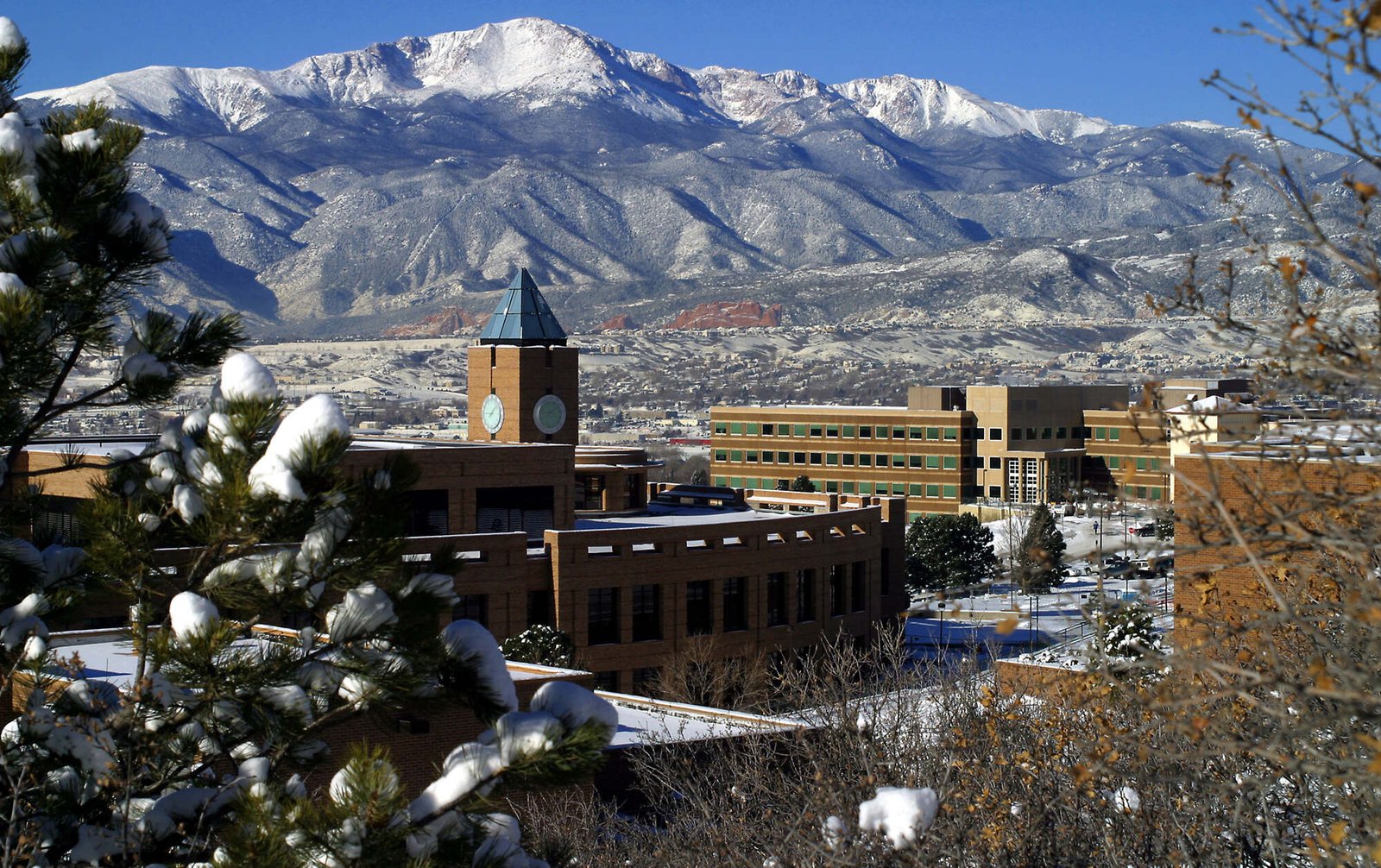 Colorado Springs Seo