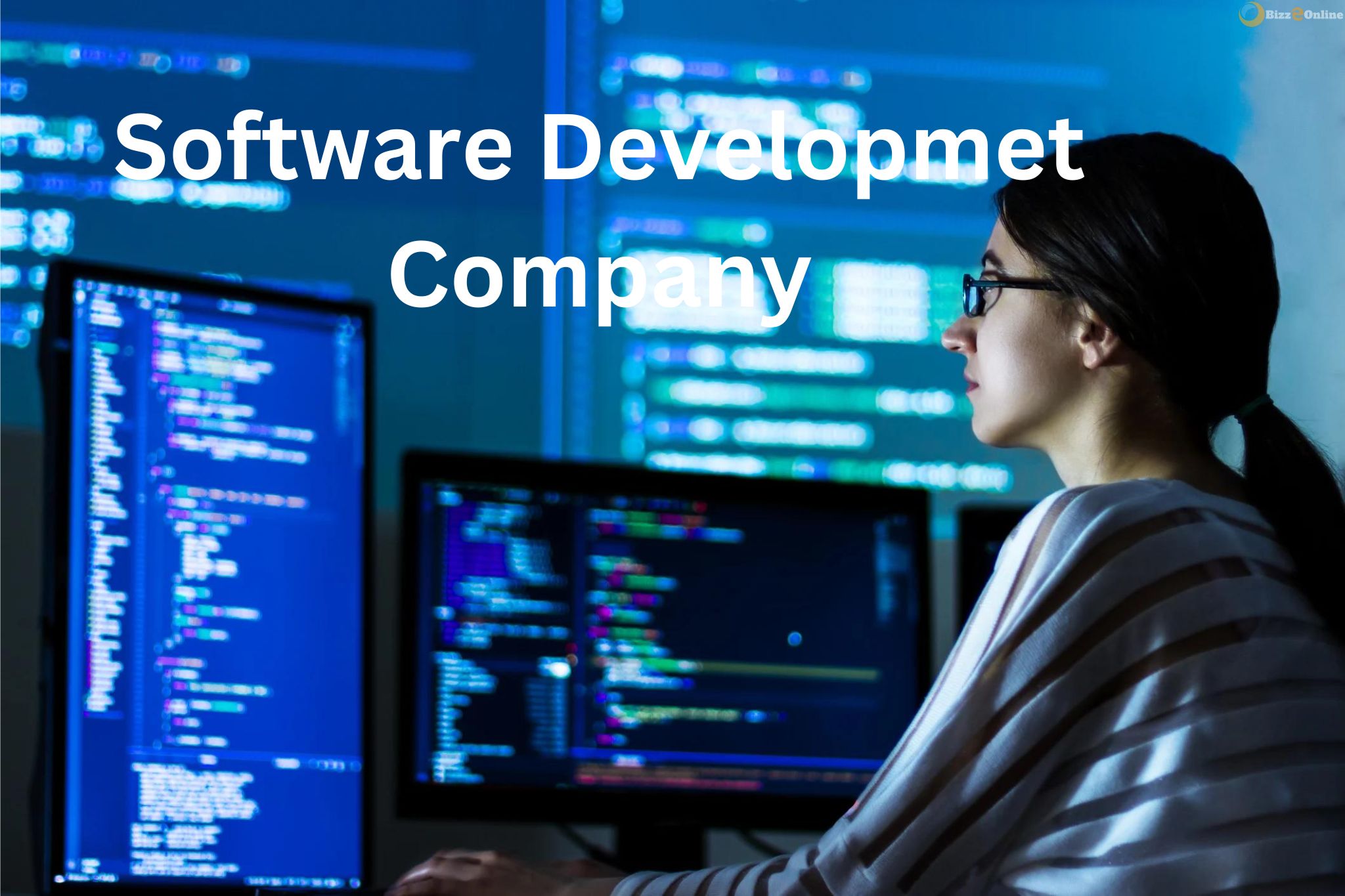 Software Development Company