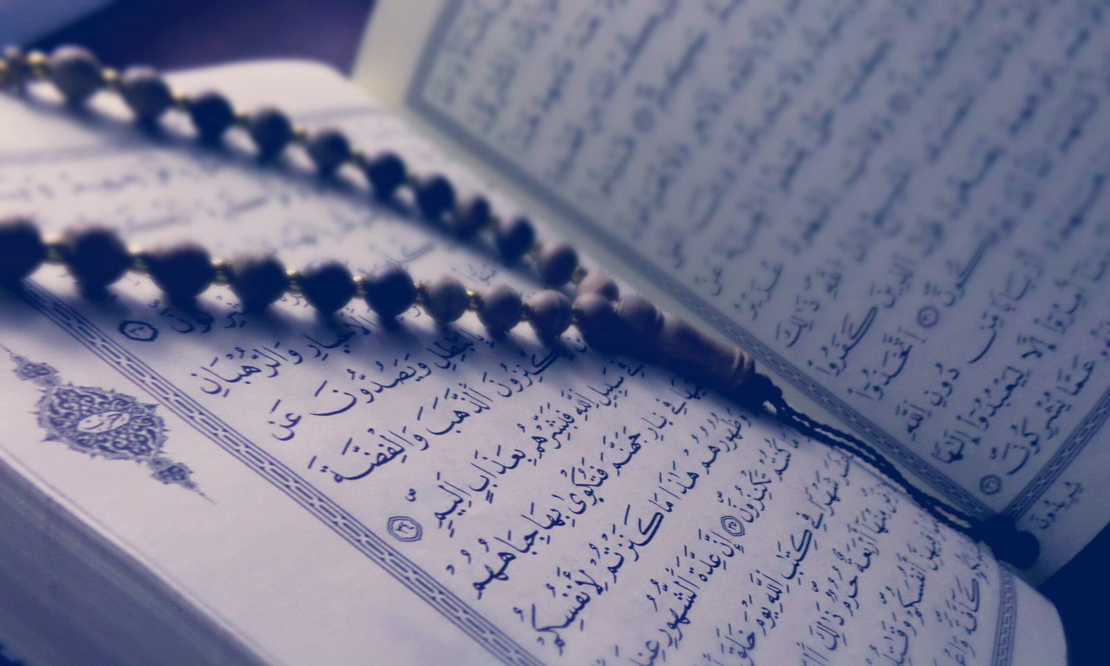 Shia Quran Tutor Online