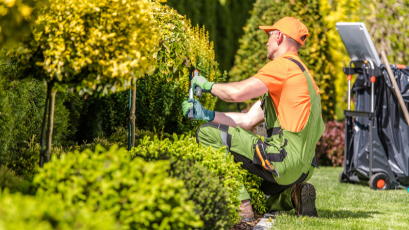 Landscaping Companies in Toronto