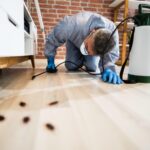 pest control exterminator