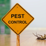 pest extermination services